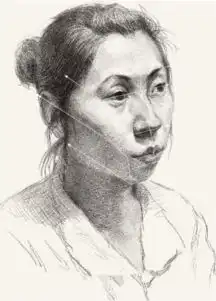 认识素描头像之透视技巧
