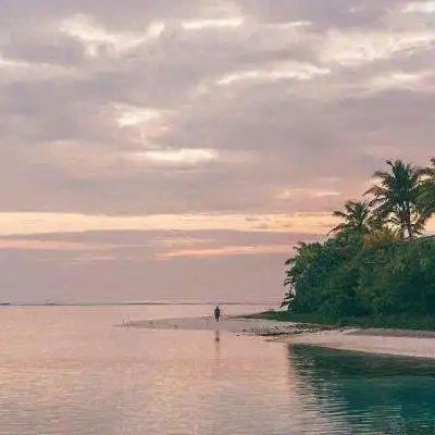 开运网2021完整运营版源码
