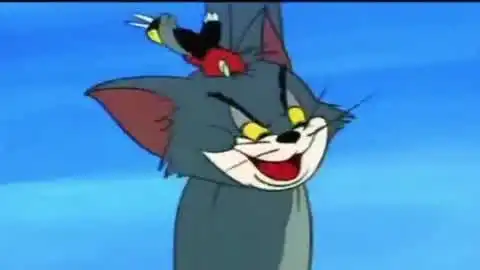 猫和老鼠高清版第84集动漫全集视频在线观看
