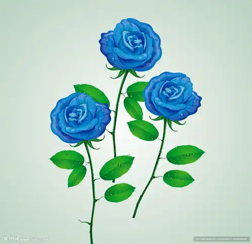 矢量逼真仿真花卉玫瑰花蓝色妖姬设计图
