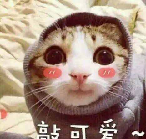 拜托了冰箱周冬雨自爆父母做饭难吃,明明大了8岁怎么看着比易烊千玺还显
