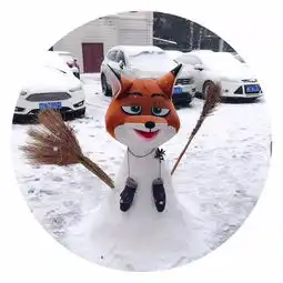 一睁眼马鞍山已美成了这样高速全部封闭,客车停运,出门前一定先看这里
