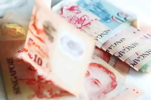 刚刚87人入境被新加坡6大部门联合拦截,只因做了这些事
