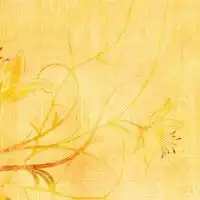 色彩清新唯美有意境的头像,在幸福的时光里
