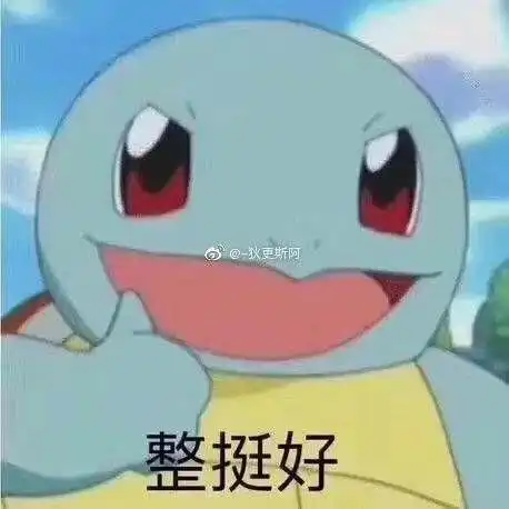 有什么杰尼龟的表情包吗
