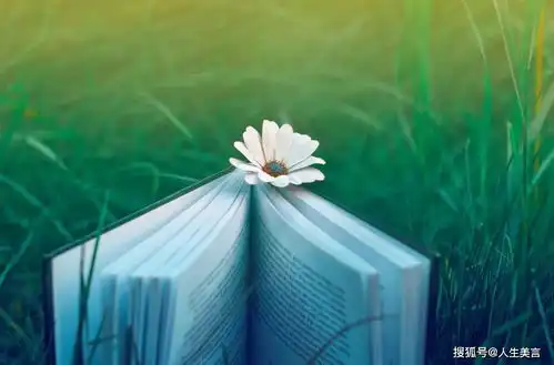 唯美简单淡雅的句子,清新优雅的文艺范句子
