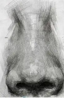 人物素描新手素描鼻子的明暗的处理
