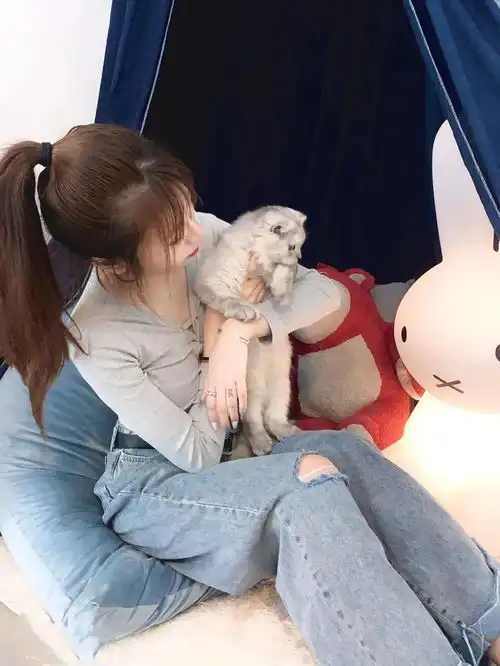 9.9元享猫咖气泡特饮10只喵花样卖萌放电,治愈你身心
