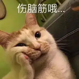 那天同学跟我说,北方的老鼠真可爱,都快赶上他们南方的蟑螂了
