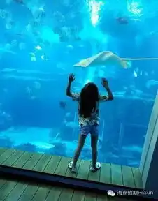 度假住在海底,与鱼同眠
