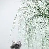 男生孤独意境头像微信头像图片大全
