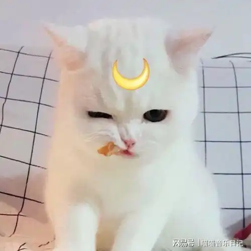 喵喵日记第三十一篇童话里的那些美好
