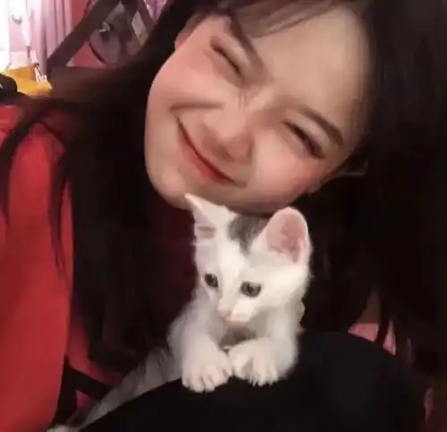 一组猫系女生头像,请签收
