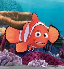 全家总动员鱼我海同眠丨去青岛召唤海底精灵
