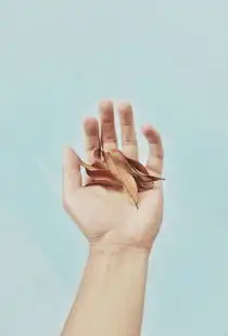 一看就是处女座拍的分分钟治愈强迫症患者
