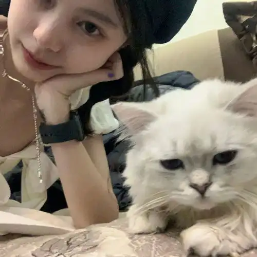 优质精选小众温柔ins风女生头像
