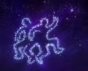 2018年12星座全年运势最新解析
