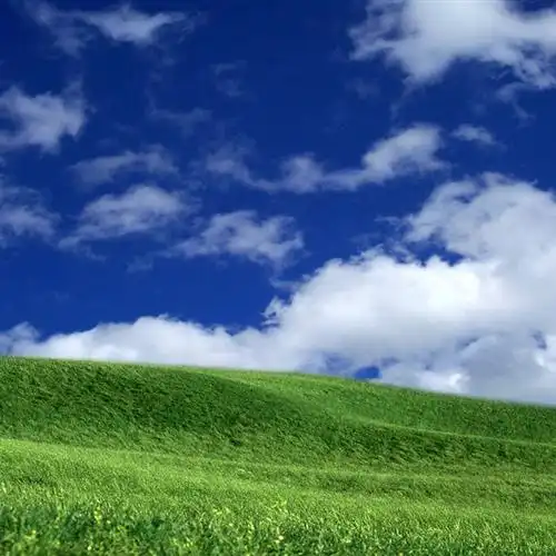 qq头像
