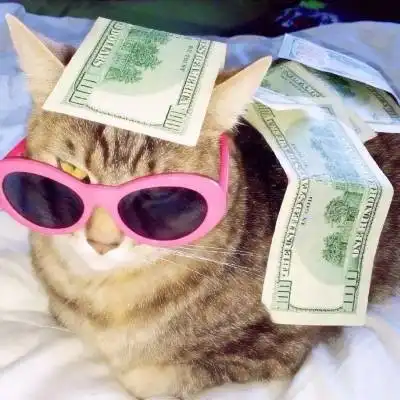 男人女人最招财的微信头像图片会带来好运的微信头像财运
