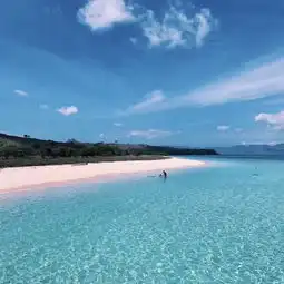 科莫多公园的粉红沙滩专题篇

