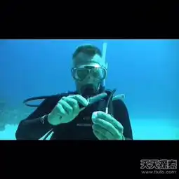 男子在海底打开生鸡蛋竟然引来神秘怪兽
