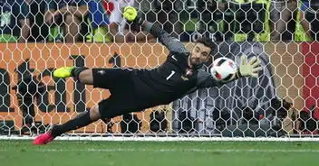 官方狼队签下葡萄牙主力门将帕特里西奥
