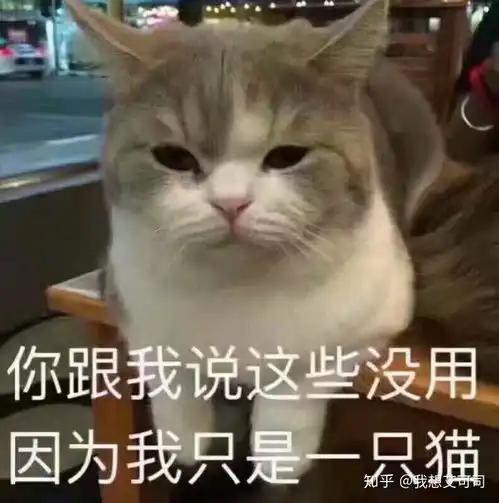 一女生给男生推荐了花开在眼前这首歌啥意思

