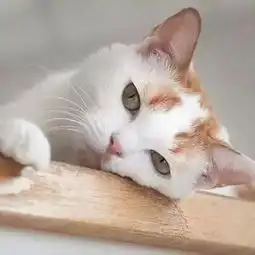 您早睡了吗看完第一条,我赶紧扔掉了手机
