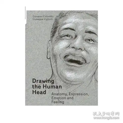 现货drawingthehumanhead绘画人类头像进口艺术绘画指南技巧插图教科书
