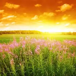 努力是唯一能让你站稳脚跟的依靠
