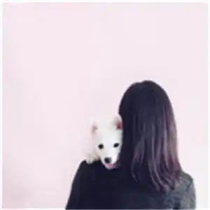 从头像看一个人,用背影的女生头像比较低调

