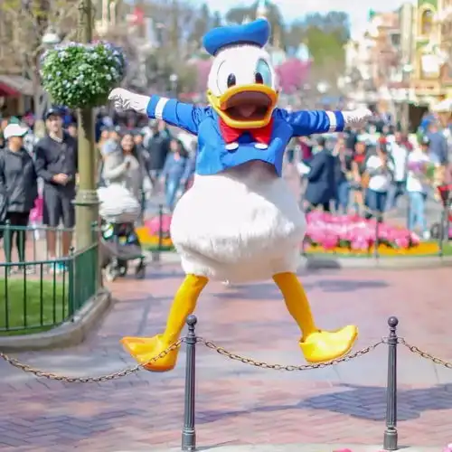 搞怪头像或许短暂,或许难堪,生活本就该这样
