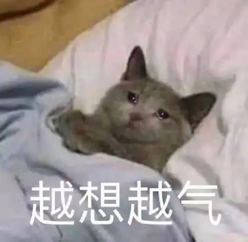 6.5分娘娘腔水千丞,狗血,虐he
