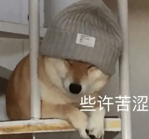 戏精王妃炮轰王室,离开皇室没有保镖,王子肤色遭质疑
