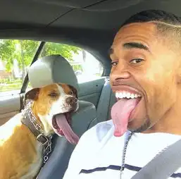 国外主人们模仿宠物狗的表情真的太像了
