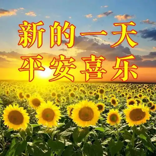 2024年6月24日最新早上好图片送好友早安问候图片

