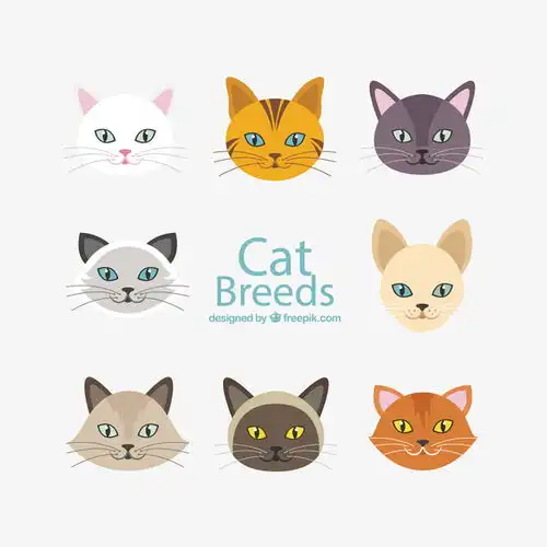 矢量手绘猫头像免抠png素材新图网ixintu.com免抠素材
