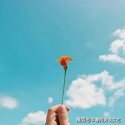 唯美经典的早安说说,阳光温暖,句句治愈人心
