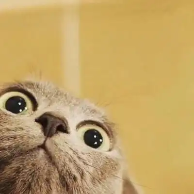 有没有什么可爱又好玩的表情包
