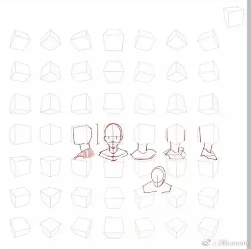 人体结构头颈肩绘画方法
