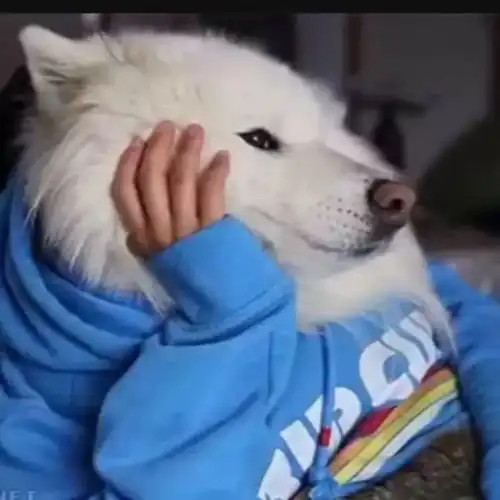 有没有丑一点儿的头像,一看就很讨打的那种
