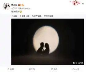 林志玲发情侣接吻照剪影沉默1小时后公开亲密照对象
