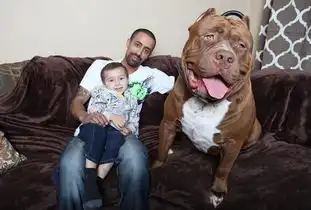 英媒选出2015年度最惊人照片
