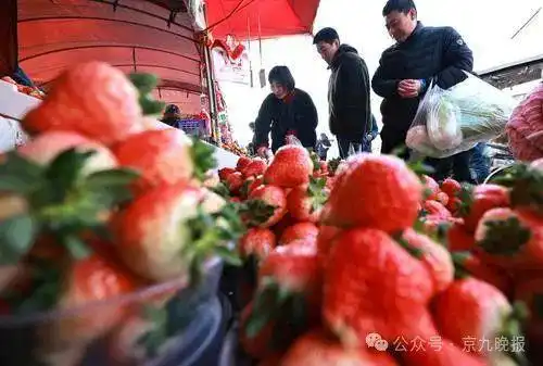 商丘这一特产节前大幅降价
