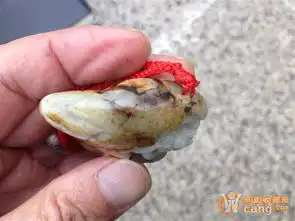 和田籽料望子成龙手把件
