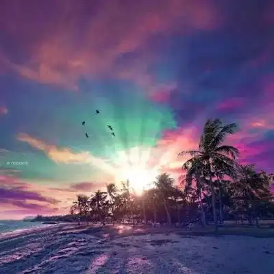 2023最新五光十色风景头像
