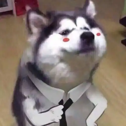 怎样可以交到沙雕网友
