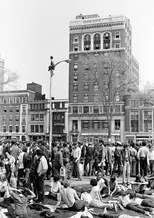 黑豹党的兴盛与衰落,及60年代美国黑人的权运图景
