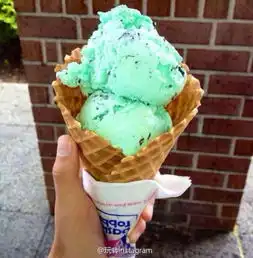 夏天怎么可以没有冰淇淋薄荷绿篇

