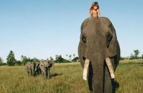 还记得那个野生女孩吗,跟狮子大象从小一起生活10年,她现状如何
